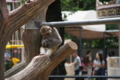 20120701002427