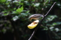 20120701002432