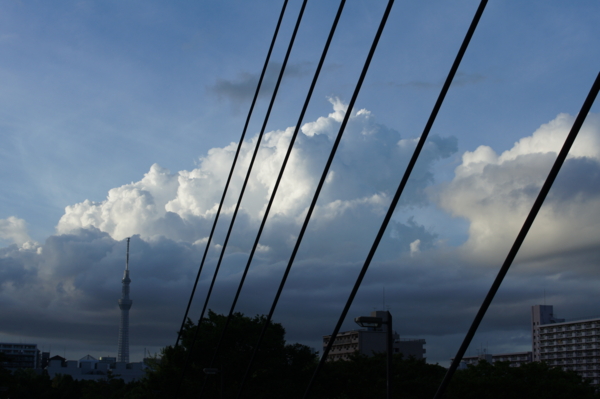 f:id:goldhead:20120806212052j:image f:id:goldhead:20120806212052j:image