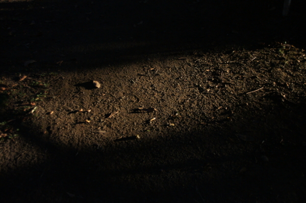 f:id:goldhead:20120819194816j:image f:id:goldhead:20120819194816j:image