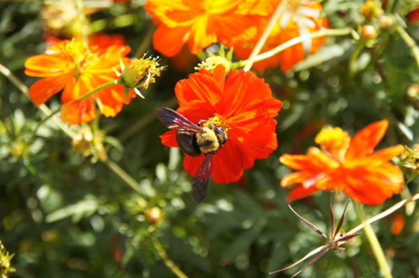 f:id:goldhead:20121013230538j:image f:id:goldhead:20121013230538j:image