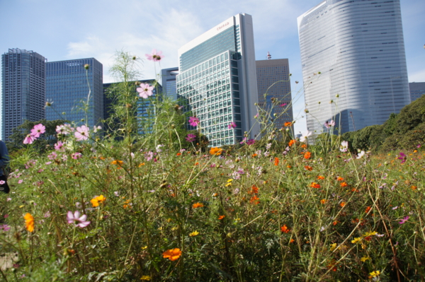 f:id:goldhead:20121013230540j:image f:id:goldhead:20121013230540j:image