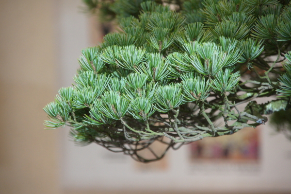 f:id:goldhead:20121013230547j:image f:id:goldhead:20121013230547j:image