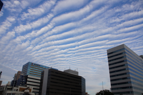 f:id:goldhead:20121013230550j:image f:id:goldhead:20121013230550j:image