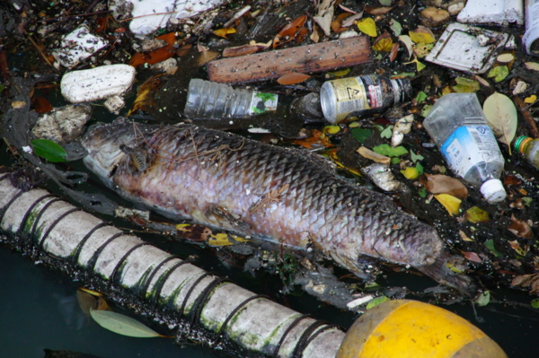 f:id:goldhead:20121013230551j:image f:id:goldhead:20121013230551j:image