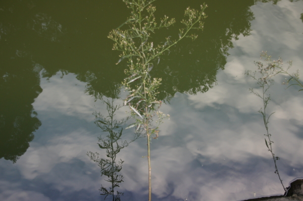 f:id:goldhead:20121013230552j:image f:id:goldhead:20121013230552j:image