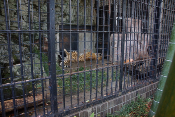 f:id:goldhead:20121118175615j:image