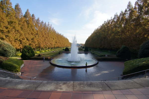 f:id:goldhead:20121125214516j:image