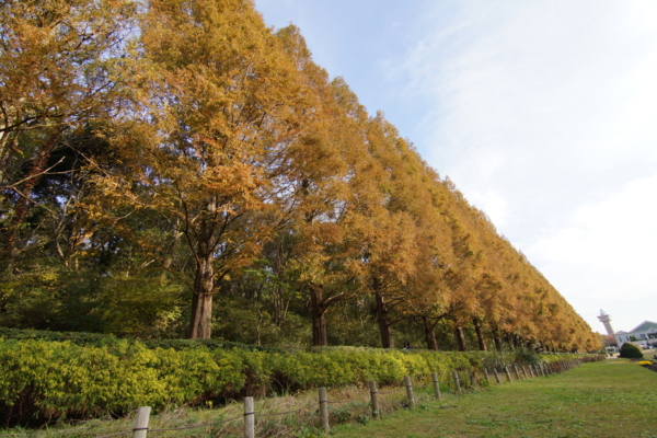 f:id:goldhead:20121125214517j:image