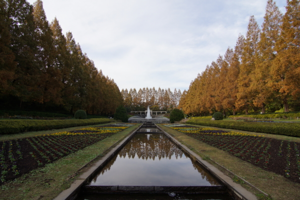 f:id:goldhead:20121125214518j:image