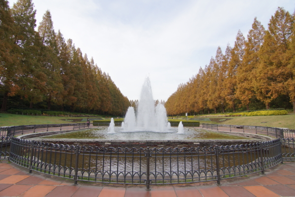 f:id:goldhead:20121125214519j:image