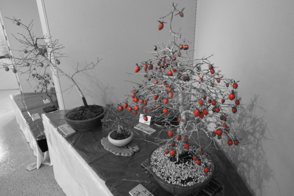 f:id:goldhead:20121125214521j:image