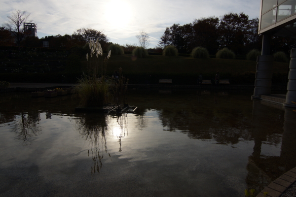 f:id:goldhead:20121125214522j:image