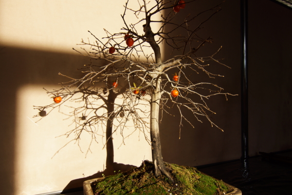 f:id:goldhead:20121125214523j:image