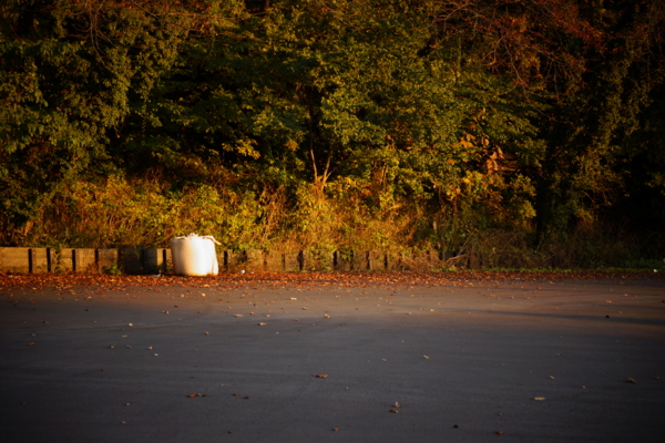 f:id:goldhead:20121125214530j:image