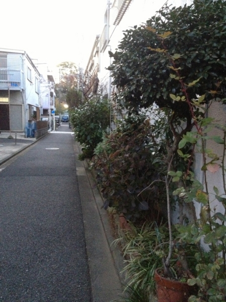 f:id:goldhead:20121202220641j:image:w400