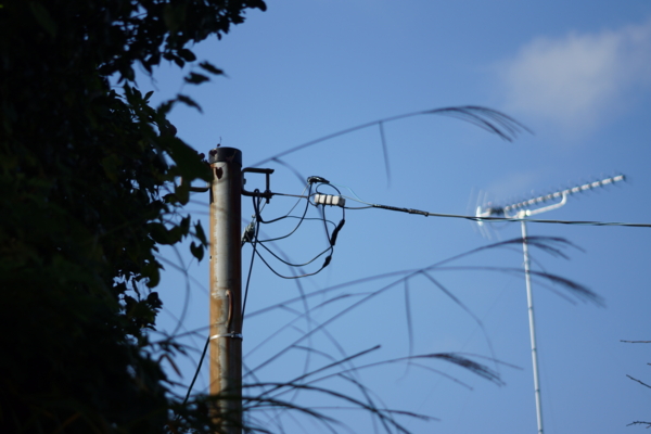 f:id:goldhead:20121207231202j:image