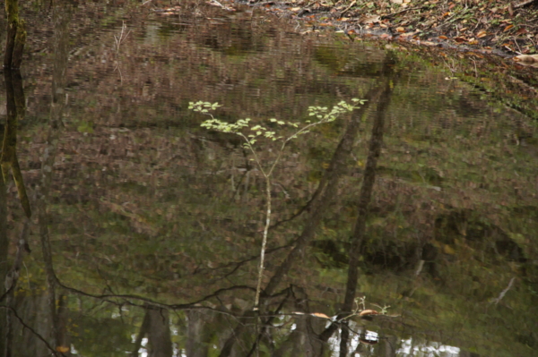 f:id:goldhead:20121208030948j:image f:id:goldhead:20121208030948j:image