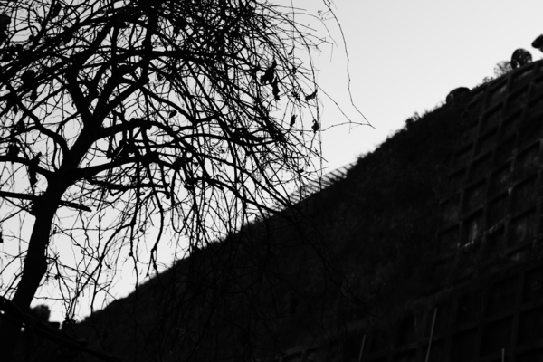 f:id:goldhead:20121216222931j:image