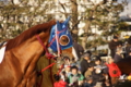 20121230005028