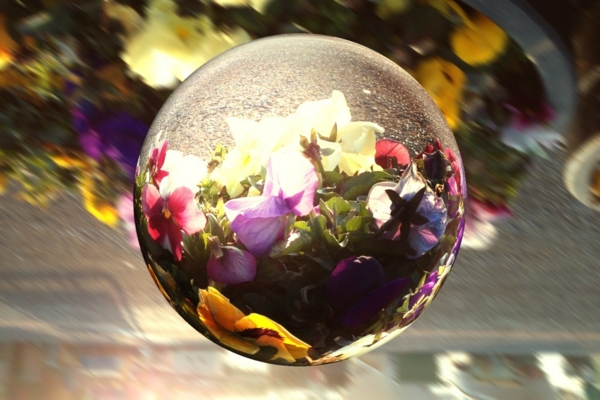 f:id:goldhead:20130304185841j:image:w400 f:id:goldhead:20130304185841j:image:w400