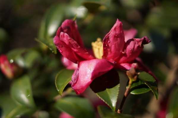 f:id:goldhead:20130307214317j:image f:id:goldhead:20130307214317j:image