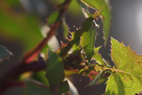 f:id:goldhead:20130317223825j:image f:id:goldhead:20130317223825j:image