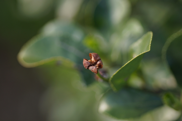 f:id:goldhead:20130317223826j:image f:id:goldhead:20130317223826j:image