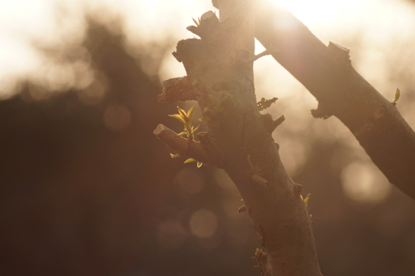 f:id:goldhead:20130317223829j:image f:id:goldhead:20130317223829j:image