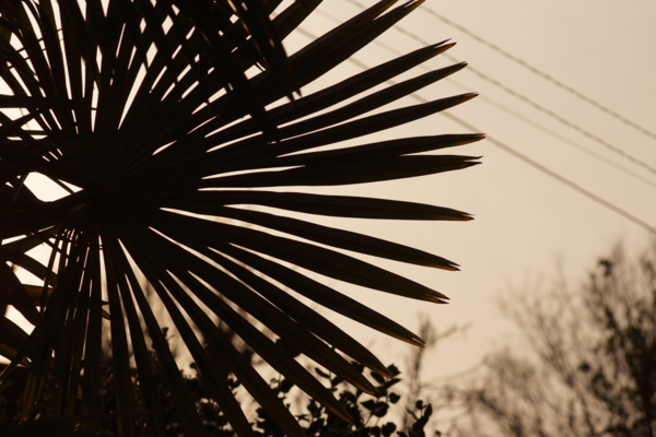 f:id:goldhead:20130317223830j:image f:id:goldhead:20130317223830j:image