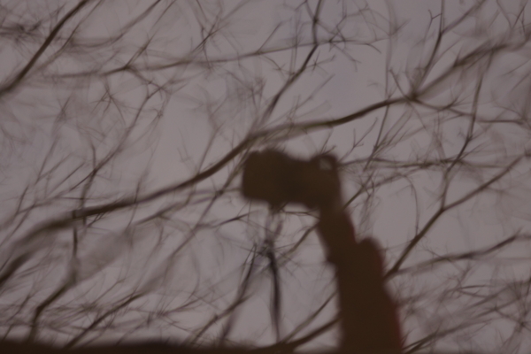 f:id:goldhead:20130317223833j:image f:id:goldhead:20130317223833j:image