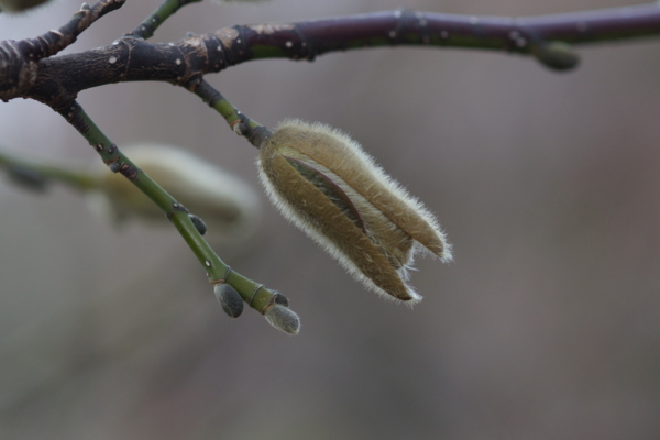 f:id:goldhead:20130317223836j:image f:id:goldhead:20130317223836j:image