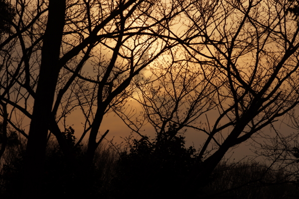 f:id:goldhead:20130317223839j:image f:id:goldhead:20130317223839j:image