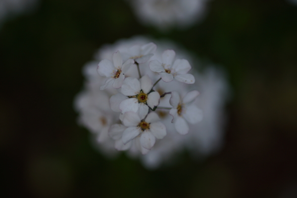 f:id:goldhead:20130317223841j:image f:id:goldhead:20130317223841j:image