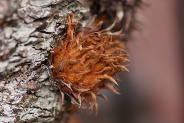 f:id:goldhead:20130317223842j:image f:id:goldhead:20130317223842j:image