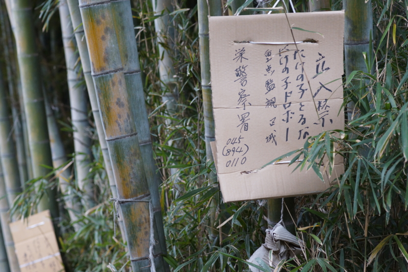 f:id:goldhead:20130330225837j:image