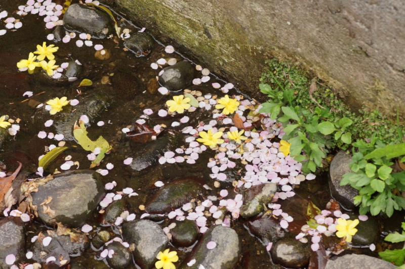 f:id:goldhead:20130330225904j:image