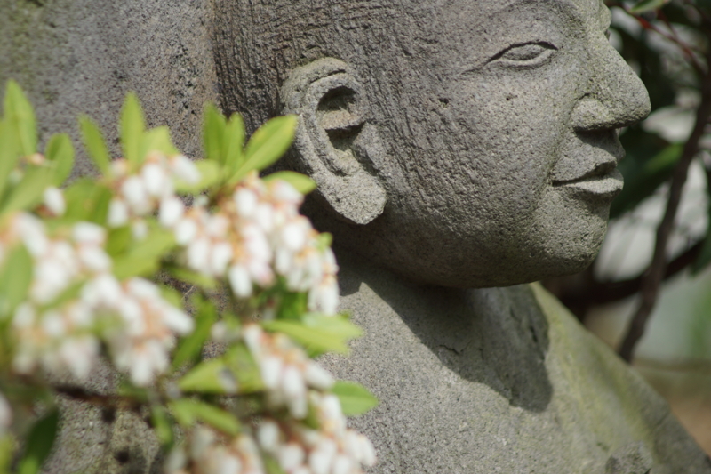 f:id:goldhead:20130415194325j:image