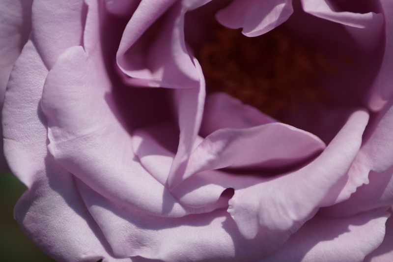 f:id:goldhead:20130518222816j:image