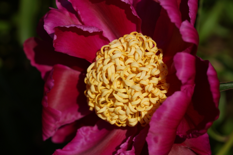 f:id:goldhead:20130518222820j:image