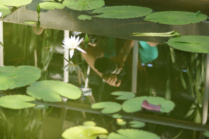 f:id:goldhead:20130518222824j:image