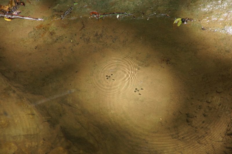 f:id:goldhead:20130706214124j:image