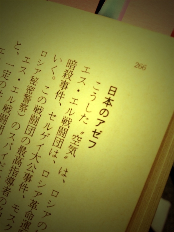 f:id:goldhead:20130708132843j:image:w360:left