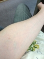 f:id:goldhead:20130809122531j:image:medium