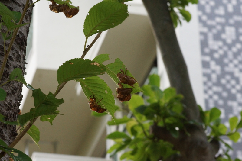 f:id:goldhead:20130812235159j:image:w400