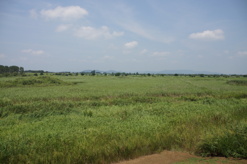 f:id:goldhead:20130818212352j:image f:id:goldhead:20130818212352j:image