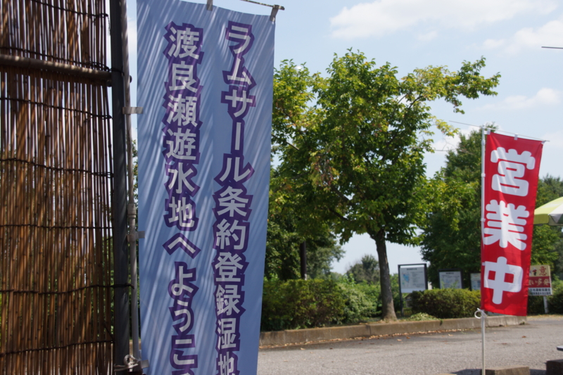 f:id:goldhead:20130818212401j:image f:id:goldhead:20130818212401j:image