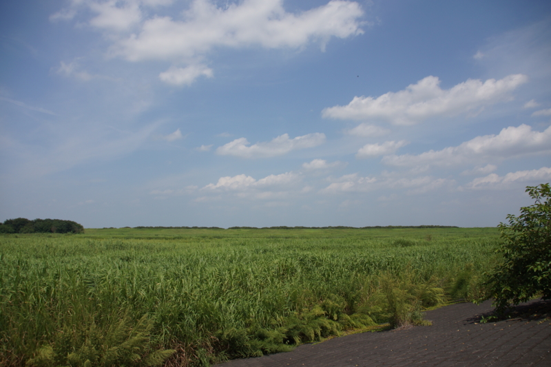 f:id:goldhead:20130818212402j:image f:id:goldhead:20130818212402j:image