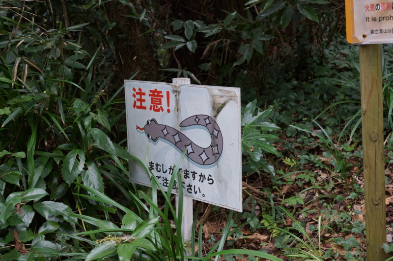f:id:goldhead:20131102225857j:image