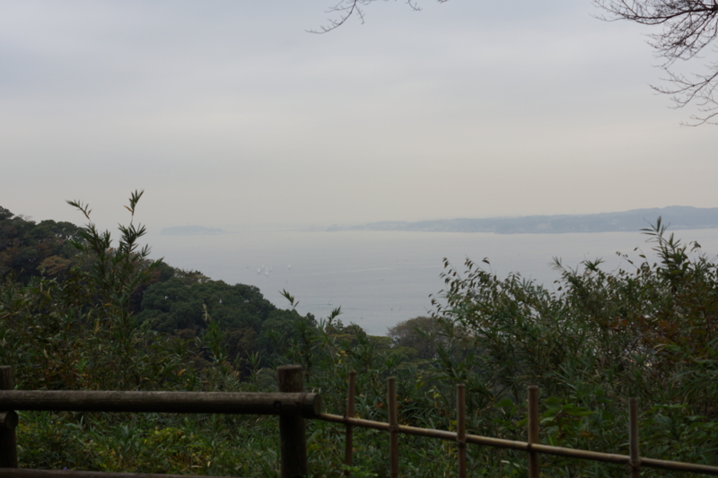 f:id:goldhead:20131102225858j:image